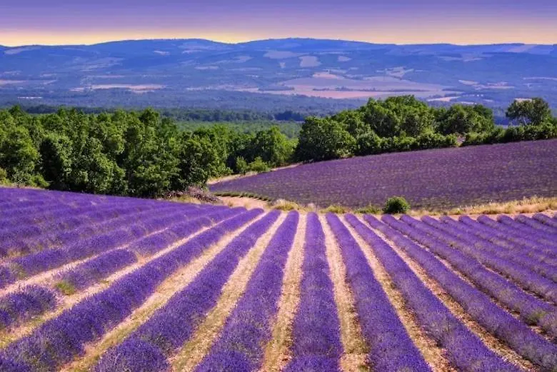 Holiday home La Petite Maison Cereste France